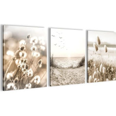 Novart Wall Picture Set Boho Pampas Grass - Complete Ready to Hang - Living Room Bedroom Hallway Decoration - 3 Modern Pictures Beige - N035335a