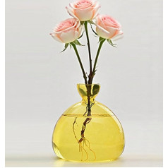 Avocado and Chestnut Rearing Jar, Glass Avocado Tree Flower Vase, Clear Avocado Vases, Avocado Seed Starter Vase, Avocado Plant, Hydroponic Vase for Home Desk (Yellow)