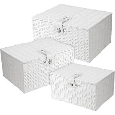 Set of 3 White Woven Storage Baskets with Lid and Lock, Woven Laundry Basket with Lid, Resin Storage Basket Willow White for Gift, Clothing, Small/Medium/Large