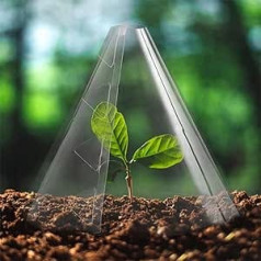 Gartenglocken für Pflanzen, Kunststoff-Pflanzenschutz vor Sonne und Frost, 10 Stück