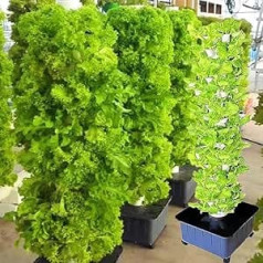 Hydroponic Growing System 15 Tier 45 Holes Soilless Growing Garden Aeroponics Growing Kit for Herbs Fruit Vegetables with Hydration Pump Adapters Mesh Pots Easy to Use