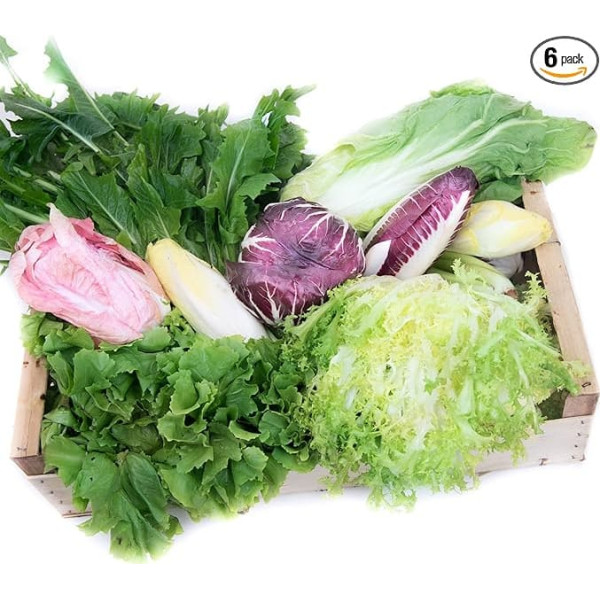 Fresh Box Bitter Salad Box 6 kg