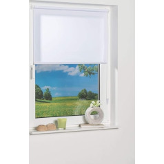 K-home Klemmfix Mini Roller Blind, White Daylight W 85 x H 150 cm