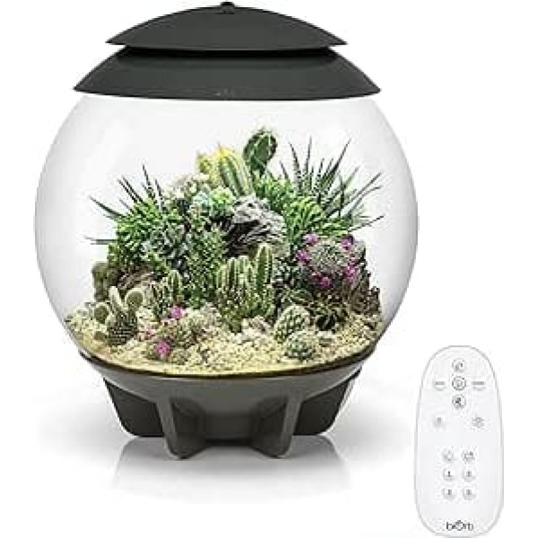 biOrb 71749 AIR 30, grey automatic terrarium for convenient plant care, suitable for sensitive and exotic plants