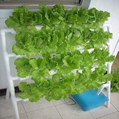 Hydroponic Growth Kit, 4 Layers 36 Planting Plants, Garden Planting System, Hydroponic Growth System, Hydroponics Growth System, Waterponics, Garden Plant System, Vegetable Tool