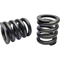 Spring of Rotor Compatible with Hitachi HPV145, HMGF57A 4194362 Set of 2