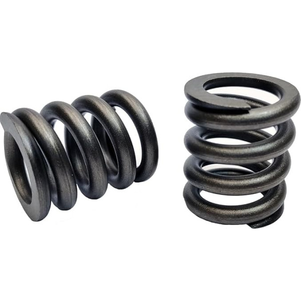 Spring of Rotor Compatible with Hitachi HPV145, HMGF57A 4194362 Set of 2