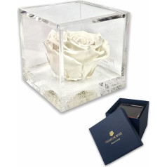 Passionefiori.it S 1088 Luxury Rose Stabilised Real Cube Plus Thick Luxury 8 and Luxury Gift Box, Pink Cube Stabilised White, Pink