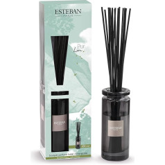 Esteban - Room fragrance with fragrance sticks - Diffuser with sticks - Fragrance bouquet - Permanent cold evaporation - Simple design for decorative - Long-lasting air freshener - 100 ml - Pure linen