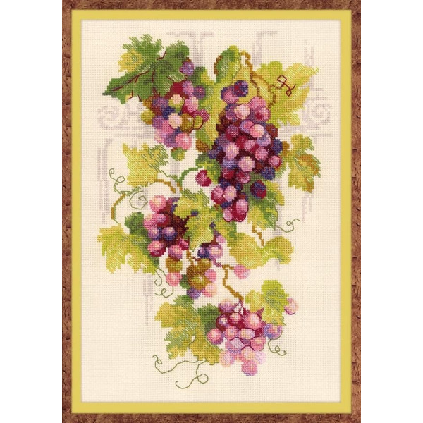 Riolis Grapevine