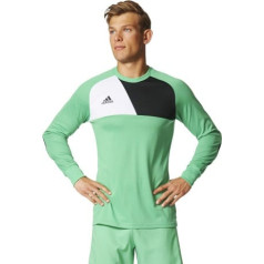 Džemperis adidas Assita 17 GK AZ5400 / Zaļa / 116 cm