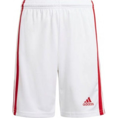 Šorti adidas Squadra 21 Jr GN5763 / 176 cm